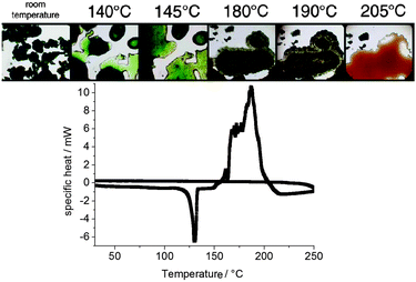 (top) Microscope observation of the thermal behavior of (BuMeIm)2·CuCl4 on a Kofler bench and (bottom) the DSC curve for (BuMeIm)2·CuCl4 under heating and cooling.