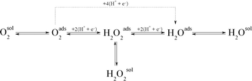 Proposed oxygen reduction reaction pathways.