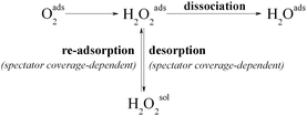 A single H2O2-mediated pathway that includes a competition between dissociation and desorption of H2O2 as the decisive step for the ORR selectivity.