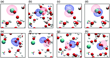 EMO plots of the Cl anion and one water molecule in the first solvation shell. Cl solute EMOs (a) 3s-like orbital and (b)–(d) 3p-like orbitals, water EMOs (e) 2a1, (f) 1b1, (g) 3a1 and (h) 1b2.