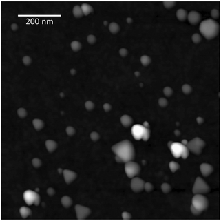 AFM image of AgPr deposited onto a mica substrate. The estimated average size of the AgPr is ∼50 nm in width and ∼6 nm in height.