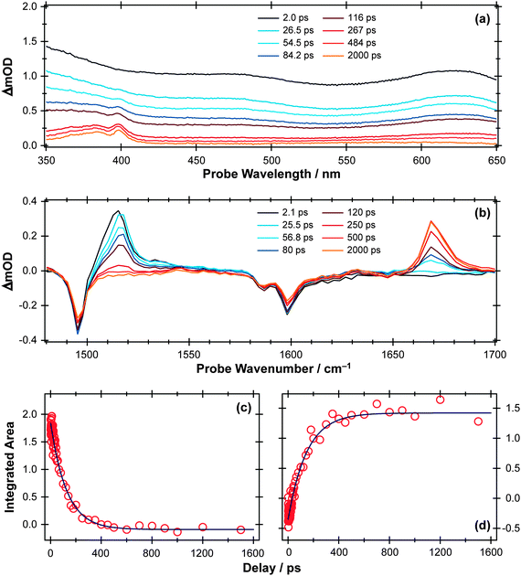 (a) TEA and (b) TVA spectra measured at different Δt following 267 nm photoexcitation of a 30 mM solution of APE in cyclohexane flowing through, respectively, a wire guided liquid jet and a 100 μm Harrick cell. Numerical integration over portions of these spectra allows extraction of kinetic traces (open circles) monitoring (c) APE (S1; 1516 cm−1) and (d) cyclohexadienone adduct (1669 cm−1). The solid blue lines are least-squares fits of the data to single exponential functions and intended as a visual guide.