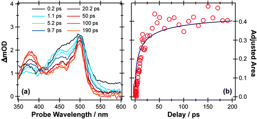 (a) TEA spectra measured at different Δt following 267 nm photoexcitation of a 90 mM solution of p-MePhSH in cyclohexane flowing through a wire guided liquid jet. (b) Numerical integration over the 360–390 nm region of these spectra allows extraction of a kinetic trace (open circles) for the formation of a MePh(H)S adduct. The solid blue line is a fit of the data using the survival probability model described in the text, eqn (1) and (2).