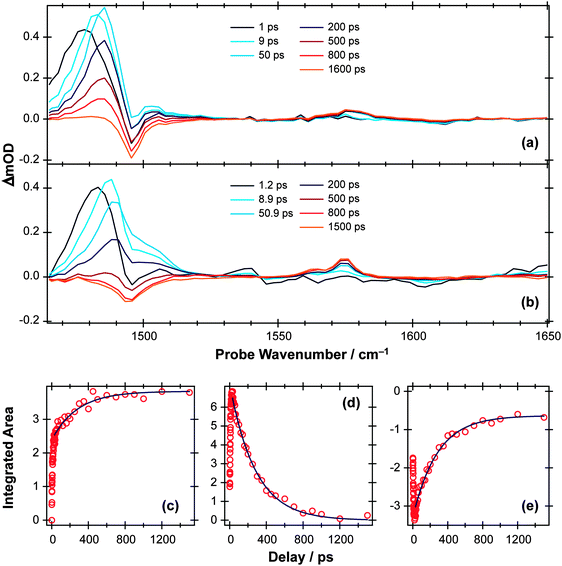 TVA spectra measured at different Δt following 267 nm photoexcitation of a 11.25 mM solution of p-MePhSMe in (a) CD3CN and (b) cyclohexane flowing through 100 μm Harrick cells. (c) Time-dependent population of the p-MePhS(X̃) radical photoproduct in cyclohexane obtained through numerical integration over the range 1570–1580 cm−1. Deconvolution of the 1465–1520 cm−1 region using Lorentzian functions enables extraction of kinetic traces for the (d) p-MePhSMe(S1; v = 0) and (e) p-MePhSMe(S0) populations. The solid blue lines are least squares fits of the long time (Δt > 30 ps) kinetic data to analytical functions obtained from the kinetic scheme described in the text.
