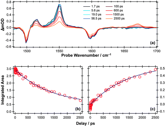 (a) TVA spectra in the range 1480–1700 cm−1 measured at different Δt following 267 nm photoexcitation of an 8 mM solution of PhOH in cyclohexane flowed through a Harrick cell with a 360 μm spacer. Numerical integration over portions of the latter spectra allows extraction of kinetic traces monitoring the (b) decay of the PhOH(S1) population (at 1552 cm−1) and (c) build-up of 2,4- and/or 2,5-cyclohexadienone adduct peak at 1670 cm−1. The solid blue lines are least-squares fits of the data to single exponential functions and intended as a visual guide.