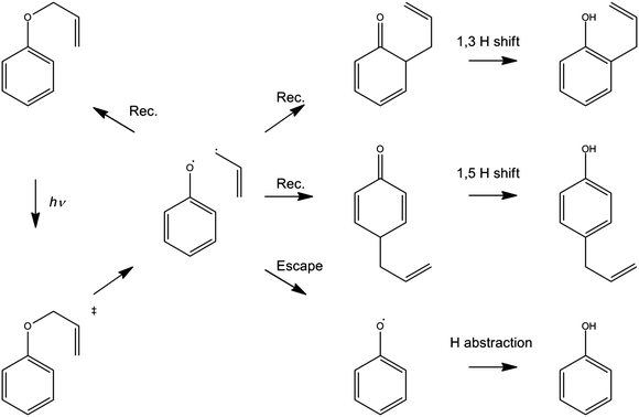 Photo-Claisen rearrangement of allyl phenyl ether.