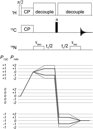 Pulse sequence used for the acquisition of 2D 14N/13C correlation spectra. Coherence selection pathways are shown for the single quantum (solid line) and double quantum (dashed-line). Analogous 1D spectra were acquired with the same sequence with no t1 evolution. Conditions for cross-polarization, decoupling and 14N pulses are as described in the text.