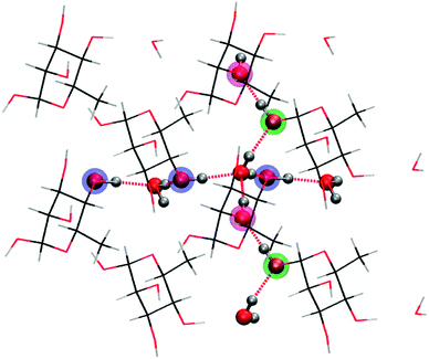 Four co-planar unit cells from the crystal lattice for rhamnose depicting the two infinite hydrogen bond chains along the crystal axes b (horizontal) and c (vertical). The highlighted atoms are oxygen atoms on rhamnose taking part in the hydrogen bond chains.