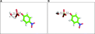 Comparing transition state structures for water attack on (A) p-nitrophenyl phosphate and (B) p-nitrophenyl sulfate. In both cases, the system was examined by generating 2-D energy surfaces. In the case of the phosphate, it was then possible to obtain an unconstrained transition state through direct transition state optimization of the approximate structure from the surface. This was not possible for the corresponding sulfate, so only the approximate transition state is shown here. Note the difference in the proton position, with the hydrolysis of p-nitrophenyl phosphate proceeding with protonation of the phosphate at the transition state, whereas no proton transfer has occurred in the corresponding reaction of p-nitrophenyl sulfate. All distances are in Å. This figure is based on the coordinates provided in the Supporting Information of ref. 216.