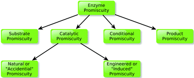 Schematic overview of the classification of different kinds of promiscuity, as presented in the main text.