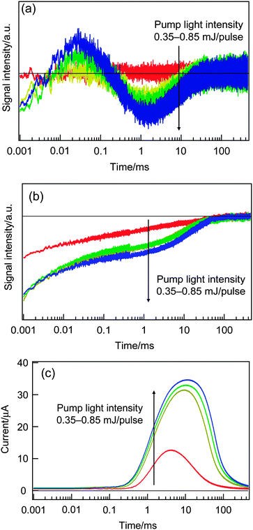 The dependencies of the HD-TG (a), TA (b) and TP (c) responses on the pump intensities in the range from 0.35 to 0.85 mJ pulse−1.