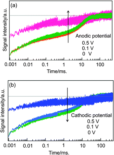 Dependence of TA responses on the applied bias voltage is shown for anodic (a) and cathodic (b) applied potentials, respectively.