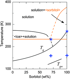 Solid–liquid state phase diagram of the sorbitol–water system. The Tg line is constructed by fitting the calorimetric Tg (onset, determined by DSC18,47) to the Gordon–Taylor equation.48 Tg = (w1Tg1 + Kw2Tg2)/(w1 + Kw2) with K as a fitting parameter, where Tg1 = 268 K and Tg2 = 136 K are the glass transition temperatures and w1 and w2 are the weight fractions of sorbitol and water, respectively, and K is a constant. K was determined to be 3.1 ± 0.2. The water liquidus and sorbitol liquidus lines and the eutectic temperature are based on data from ref. 46. The dashed lines represent graphical extrapolation beyond this data. The Tgw line represents the onset of rotational mobility of water molecules.47 The phase diagram is not comprehensive, as it does not reflect the existence of several polymorphic forms of sorbitol and sorbitol hydrate. The plus symbols and the asterisks represent the transition from region (i) to (ii), and from region (ii) to region (iii), respectively, as defined in the text. Note that crystalline sorbitol does not form under the conditions of the experiment of the present study; elements of the phase diagram that include crystalline sorbitol are shown in orange.