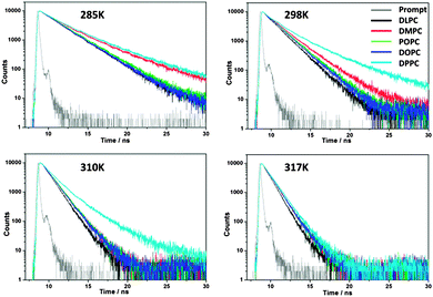 Time-resolved fluorescence decay traces of BODIPY embedded in five PC lipids at 285 K, 298 K, 310 K and 317 K. The instrument response function is also shown.