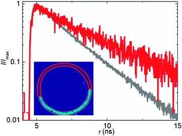 Time-resolved fluorescence decays of BODIPY recorded in DOPC–Sph–Chol GUV (35 : 40 : 25 composition) in the Ld phase (grey) and in the Lo phase (red). Inset: cross-sectional image of the GUV, pixels marked in red and blue correspond to the Lo and Ld phases, respectively.