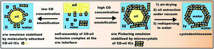 Schematic illustration of the stabilization of o/w emulsions depending on the concentration of CDs in the aqueous phase. Pickering emulsions are formed at high CD concentration and can further be treated to yield novel CD colloidosomes.