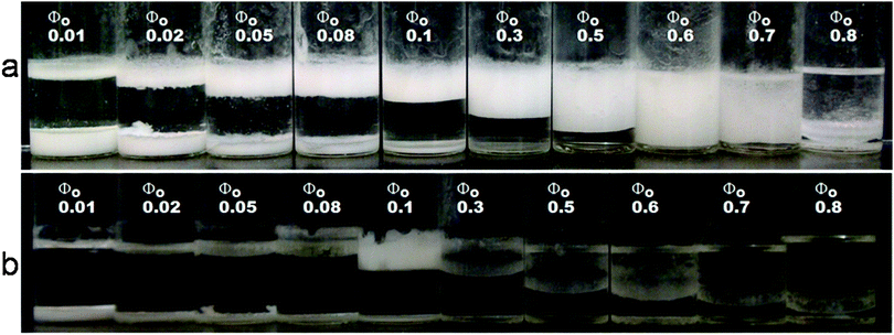 Stability of α-CD stabilized emulsions under varying tetradecane volume fractions. (a) Emulsions 24 hours after emulsification. Note the decrease in the amount of emulsions (top layer) and the increase in the amount of microrods as the volume fraction of the oil is reduced. The most stable emulsion was formed at Φo = 0.6. (b) The emulsion phase separated after about 4 weeks except for Φo = 0.1.