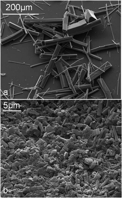SEM images of microrods prepared from 10 mL of 10 mM aqueous CDs in the presence of 10 μL of n-tetradecane. (a) with α-CD; (b) with β-CD.