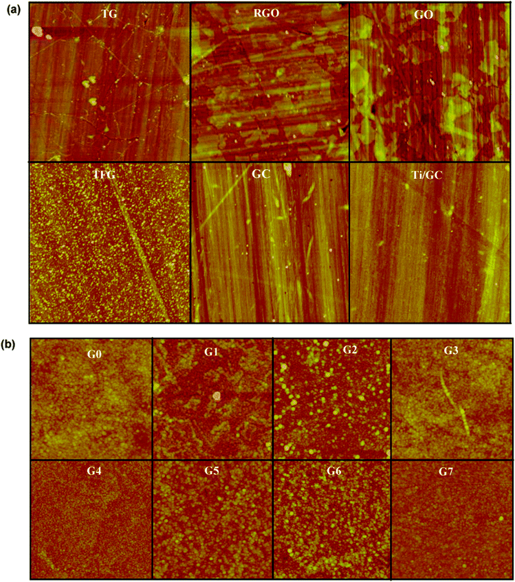 
            Tapping mode AFM images of (a) Carbon films prepared by different methods. The scan size is 5 μm × 5 μm. (b) TiO2 composite of different compositions. The scan size is 1 μm × 1 μm. See Table 1 for details.