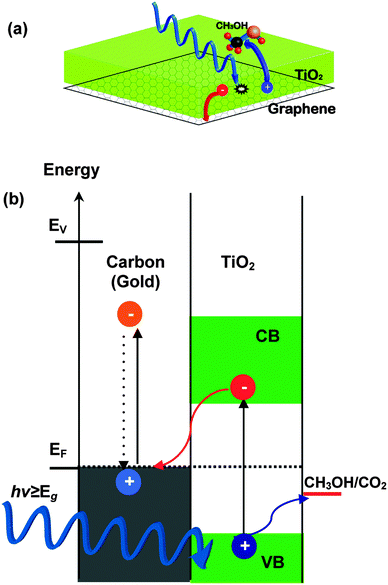 (a) Cartoon representation of the charge separation in TiO2–carbon composites under UV irradiation and photoreaction with CH3OH. (b) Energy level diagram at TiO2/carbon (gold) interface and the charge transfer under UV illumination. Note the fast e–h recombination in the carbon (gold) films.