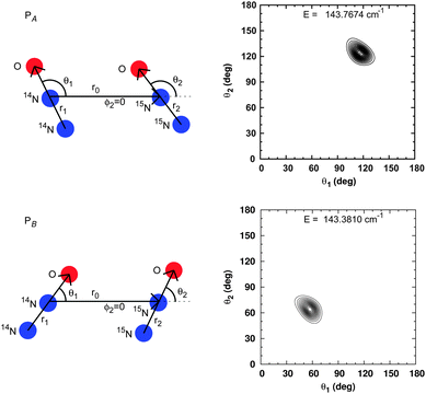 Polar equilibrium geometries and probability densities for the 14N2O–15N2O complex.
