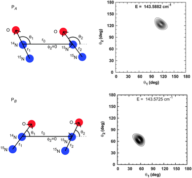 Polar equilibrium geometries and probability densities for the 15N14NO–15N2O complex.