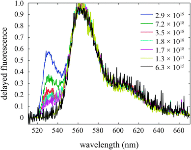 Delayed fluorescence (10–25 ns after excitation) of tetracene thin films at 100 K for several exciton densities (in units of cm−3). At low densities the peak in the range 530–540 nm is absent; as the initial exciton density exceeds ∼1018 cm−3 the peak is observed.