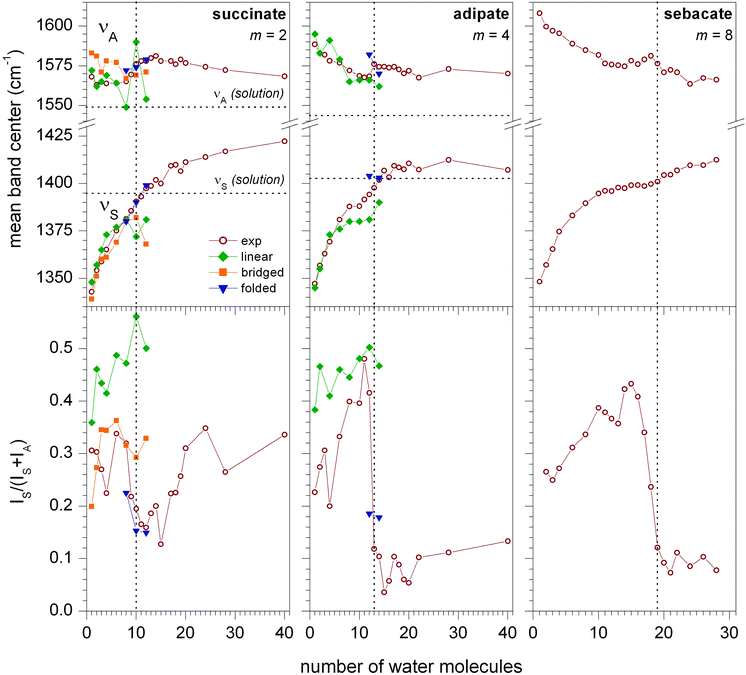 Center of the symmetric (νS) and antisymmetric (νA) CO stretching bands (top) and normalized intensity IS/(IS + IA) (bottom) for microsolvated (CH2)m(COO−)2·(H2O)n clusters (m = 2, 4, 8) as a function of n. Experimental data (open wine circles) as well as simulated data for linear (solid green diamonds), bridged (solid orange squares) and folded (solid blue triangles) geometries are shown (one selected representative for each structural motif). Lines connecting the symbols are drawn to guide the eye. Dotted vertical lines mark the critical solvent number where the normalized intensity drops below 0.2. Dotted horizontal lines indicate absorption frequencies in solution.24