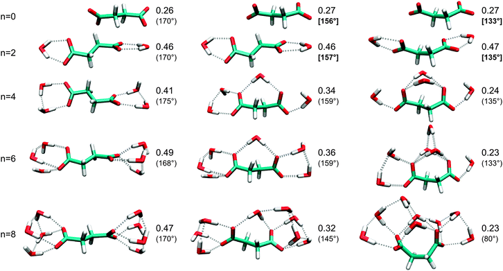 Normalized intensities IS/(IS + IA) for different configurations of the succinic acid dianion containing 0 (left), 1 (center), or 2 (right) water molecules bound to both carboxylates (bridging water molecules). The C–C–C–C dihedral is given in parentheses. In cases where bridging water molecules are not available (n = 0 and n = 2), the structures have been optimized under a constrained C–C–C–C dihedral (boldface value in brackets) that is typical for a cluster with 1 (center) or 2 (right) bridging water molecules.