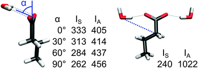 Intensities IS and IA (km mol−1) of the microsolvated butanoic acid anion (in vacuo IS and IA are 291 and 554 km mol−1, respectively). To achieve different hydrogen-bond orientations, the water oxygen positions were constrained during optimization by fixing the angle α (left) or the C–O distance (right).