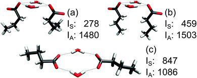 Intensities IS and IA (km mol−1) of two microsolvated butanoic acid anions. The geometries of three local energy minima (no constraints were applied) were chosen to realize different hydrogen-bonding situations and chain conformations that may occur in complex systems and demonstrate the tunability of the intensity ratio.