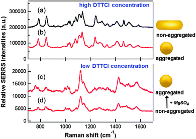 Normalized SERRS spectra at 785 nm excitation for (a) monodispersed solution of polymer-wrapped DTTCI–rod conjugates prepared with a 50 μM bulk dye concentration; (b) aggregated quasi-spherical Au nanoparticles in the presence of 2 μM DTTCI and MgSO4, representing the maximum SERRS obtained from this system. Measurements at a lower DTTCI concentration of 0.05 μM are shown for quasi-spherical Au particles (c) following aggregation induced by MgSO4 and (d) non-aggregated.