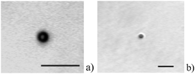 Brightfield images of a trapped polystyrene bead showing views from (a) the lower objective lens (Mitutoyo M Plan Apo 50×, NA 0.42) and (b) the side-imaging lens (Mitutoyo M Plan Apo 20×, NA 0.42). Optical filters placed in front of each camera have blocked the laser light from the image. Scale bar on each image represents 10 microns.