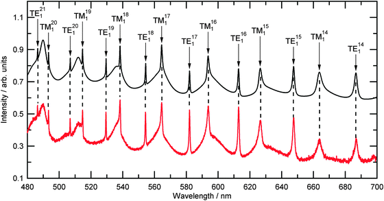 A typical recorded experimental Mie spectrum for an optically trapped polystyrene bead (Table 2, number 13) is shown in red. The background signal from the white LED has been divided through the collected signal but no other processing or modifications have been made. The calculated Mie spectra for a polystyrene bead of size 1.227 μm, and a dispersion of refractive index as detailed in Table 2 is shown in black and is offset by 0.5 arbitrary units.
