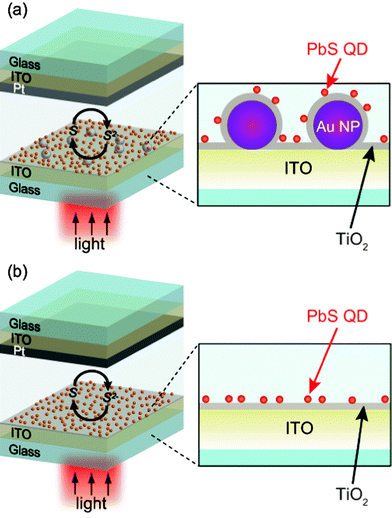 Schematic illustration of (a) the photoelectrochemical cell with the ITO/Au NP/TiO2/PbS QD electrode and (b) that with the ITO/TiO2/PbS QD electrode.