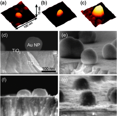 (a–c) AFM images of PbS QDs (2, 5 and 10 SILAR cycles for a, b and c, respectively) on the TiO2 surface and SEM images of (d) ITO/Au NP/TiO2 and (e–g) ITO/Au NP/TiO2/PbS QD (2, 5 and 10 SILAR cycles for b, c and d, respectively) electrodes. ANP/AE = 0.05 and TiO2 thickness = 9 nm.