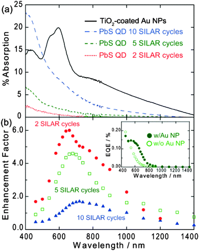 (a) Absorption spectra of TiO2-coated Au NPs on ITO and PbS QDs (2, 5 and 10 SILAR cycles) on TiO2 and (b) action spectra of photocurrent enhancement factor for ITO/Au NP/TiO2/PbS QD electrodes. Inset shows action spectra of EQE of the electrode with and without Au NPs (5 SILAR cycles). ANP/AE = 0.05 and TiO2 thickness = 9 nm.