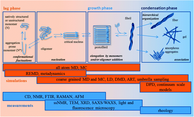 Schematic illustration of the self-assembly mechanism and computational/experimental techniques available to investigate different aggregation levels.