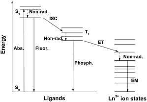 Simplified energy diagram of the lanthanide organic complex system. Abs. = absorption, Fluor. = fluorescence, Phosph. = phosphorescence, EM = lanthanide (Ln3+) ion emission, ISC = intersystem crossing, ET = energy transfer, S = singlet, T = triplet, Non-rad. = nonradiative transitions.