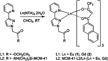 Synthesis of the model complexes Ln(NTA)3·L1 and the supported materials MCM-41-L2/Ln. Reprinted with permission from ref. 101. Copyright 2005, American Chemical Society.