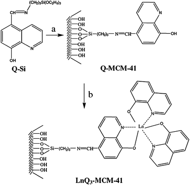 Synthetic procedure of LnQ3-MCM-41 (Ln = Er, Nd, Yb). Reagents and experimental conditions: (a) TEOS, CTAB, H2O, surfactant removal; (b) [LnQ2Cl–(H2O)2], reflux. Reprinted with permission from ref. 115. Copyright 2008, Elsevier Ltd.