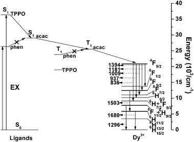 Schematic energy level diagram and energy transfer process of the Dy–ligand system. EX, excitation; S1, first excited singlet state; T1, first excited triplet state. Reprinted with permission from ref. 53. Copyright 2009, Royal Society of Chemistry Publishing Company.