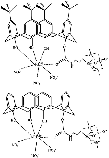The proposed structure of the obtained hybrid materials: p-tert-butylcalix[4]arene systems (top); calix[4]arene systems (bottom). Adapted with permission from ref. 73. Copyright 2009, American Chemical Society.
