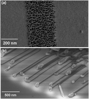 Lateral growth of horizontal nanowires from Au catalyst at 900 °C in a tube furnace. (a) Part of a 10 nm-thick Au pattern annealed at 700 °C shows the arrangement of the metal nanodroplets prior to growth process. (b) Oblique view of horizontally grown ZnO nanowires from an Au pattern. After the growth, Au nanodroplets at the center form free – standing nanowires and those at the edges of the pattern result in horizontal nanowires.