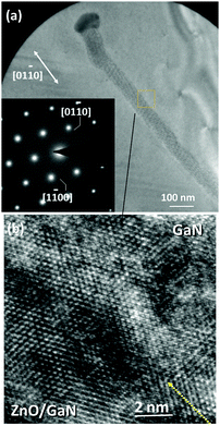 (a) Top-view cross-section of a horizontally grown ZnO nanowire on GaN. SAED pattern from this perspective also confirms a single crystal structure. ZnO and GaN diffraction spots overlap with each other, because of the similarity of the two crystals. HRTEM image of the marked box interface shown in part (b) denotes only the hexagonal close-pack of atoms as well as a subtle contrast difference between the two sections.