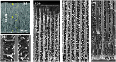 TiO2 nanowires grown in nanochannels. (a) Overview of a cross section of the AAO template after 660 growth cycles. (b–d) Higher magnification SEM images showing the uniform and dense coating of TiO2 nanowires within the AAO channels at the top, middle, and bottom sections, respectively, as indicated by the dashed yellow boxes in (a). (e) TiO2 nanowires rooted on the walls of AAO channels showing a squarelike cross section and well-faceted shape.