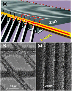 (a) Schematic of the 1st design for charge injection to ZnO nanowalls via a ZnO backbone. As seen in (b–c), the top metal contacts are directly placed on the ZnO backbone.