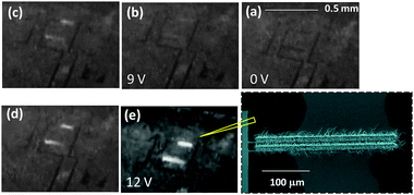A series of optical images of two parallel devices, which are about 300 μm distant and have a length of about 300 μm. The darker patterns in the images represent the top metal contacts. (a–e) as the forward bias increases from 0 to 12 V, the brightness of the emitting devices increases. Inset of figure (e) is a representative SEM image of heterojunction arrays of ZnO nanowalls on GaN.