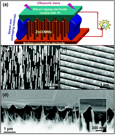 Nanogenerators driven by an ultrasonic wave. (a) Schematic diagram showing the design and structure of the nanogenerator based on aligned ZnO nanowires. (b) Aligned ZnO nanowires grown on a GaN substrate. (c) Zigzag trenched Si electrode coated with 200 nm of Pt. (d) Cross-sectional SEM image of the nanogenerator. Inset: A typical nanowire that is forced by the electrode to bend.