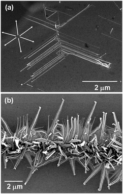 Impact of the substrate on directionality of horizontally grown nanowires. (a) ZnO nanowires grown on (0001) GaN illustrate multiple growth directions with a 6-fold symmetry; while on a (001) silicon substrate (b) nanowires show no clear directionality.